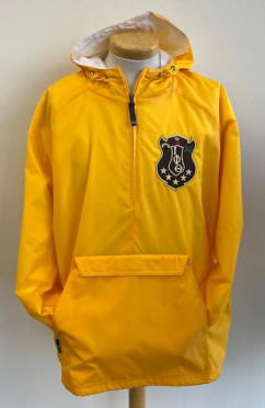 Iota Phi Theta Classic Hooded Pullover C