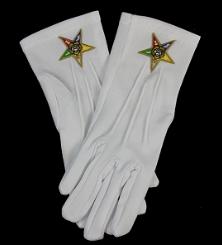 OES Gloves