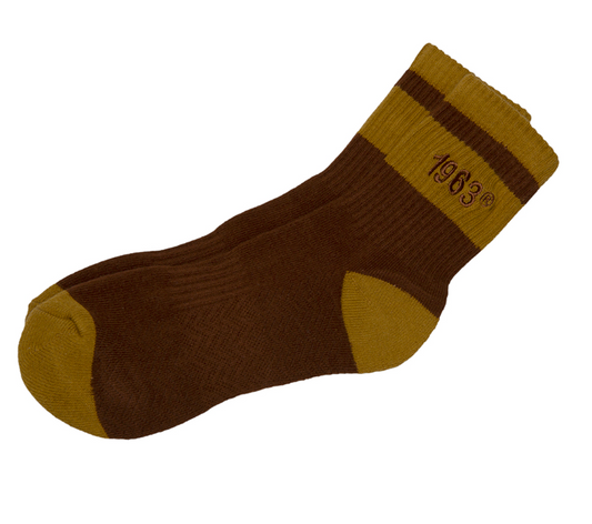 Iota Phi Theta Socks
